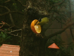 IMGP6594.JPG