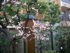 IMGP6620.JPG