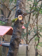 IMGP6588.JPG